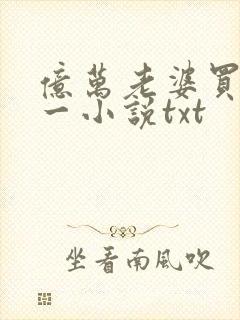亿万老婆买一送一小说txt