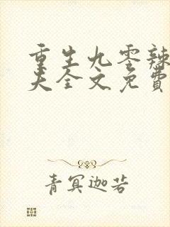 重生九零辣妻追夫全文免费