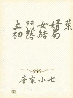 上门女婿叶辰萧初然结局