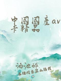 中国国产av不卡精品