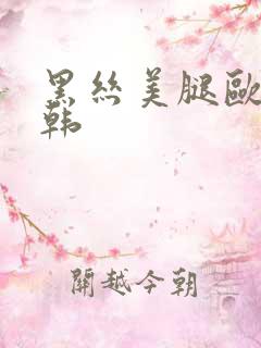 黑丝美腿欧美日韩