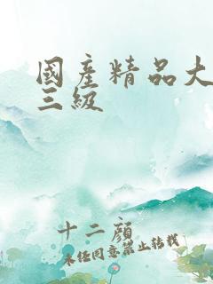 国产精品大尺度三级