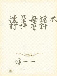 怀孕母猪不吃食打什么针