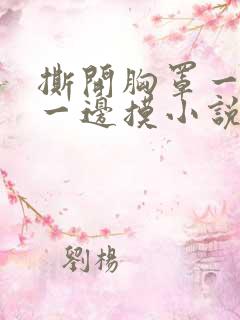 撕开胸罩一边亲一边摸小说