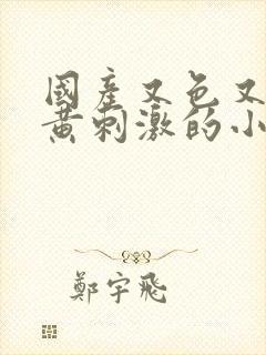 国产又色又爽又黄刺激的小说