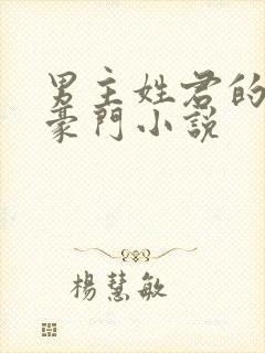 男主姓君的现代豪门小说