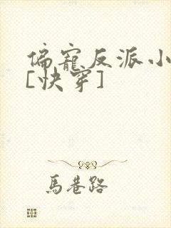 偏宠反派小可怜[快穿]