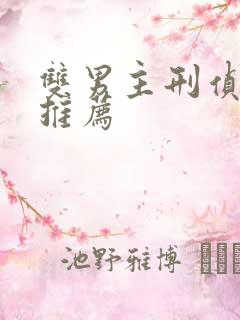 双男主刑侦小说推荐