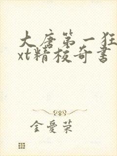 大唐第一狂徒txt精校奇书网