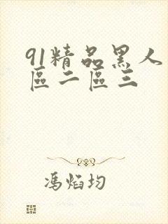 91精品黑人一区二区三