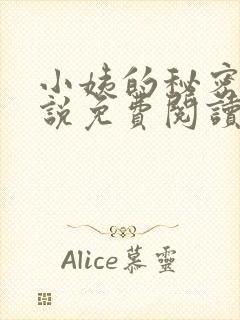 小姨的秘密的小说免费阅读