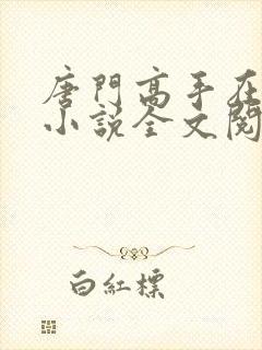 唐门高手在异世小说全文阅读