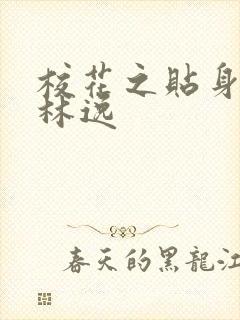 校花之贴身高手林逸