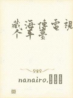 藏海传电视剧那个平台