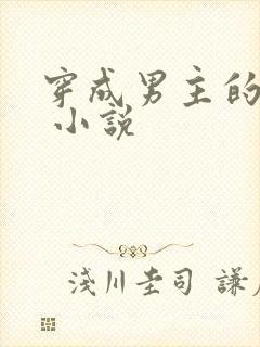 穿成男主的后妈 小说