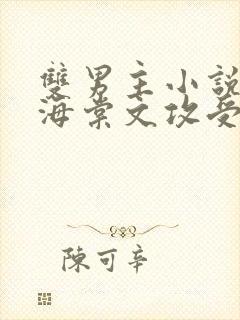 双男主小说高干海棠文攻受