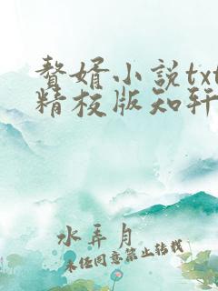 赘婿小说txt精校版知轩