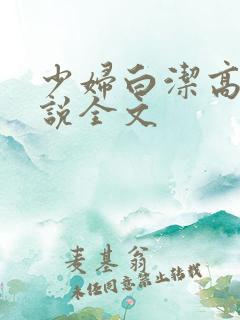 少妇白洁高义小说全文