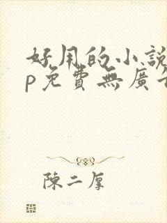 好用的小说app免费无广告