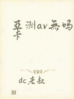 亚洲av无吗不卡