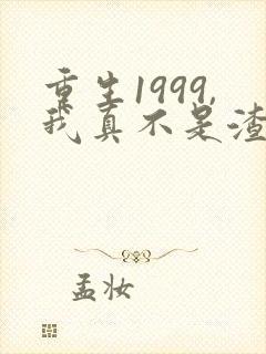 重生1999,我真不是渣男啊