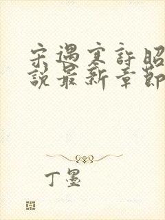 宋遇寒许昭宁小说最新章节免费阅读