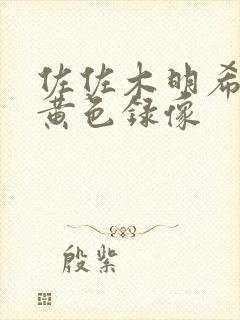 佐佐木明希演的黄色录像