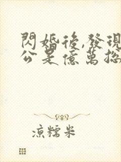 闪婚后,发现老公是亿万总裁 小说