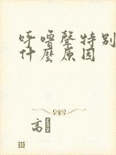 呼噜声特别大是什么原因