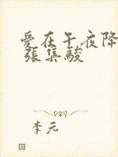 爱在午夜降临前 张集骏