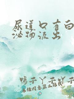 尿道口有白色分泌物流出