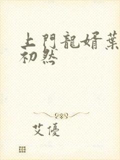 上门龙婿叶晨潇初然