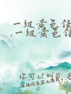 一级黄色录像片,一级黄色录像片