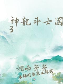 神龙斗士国语版3