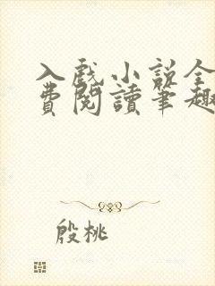 入戏小说全文免费阅读笔趣阁