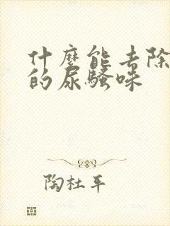 什么能去除老鼠的尿骚味