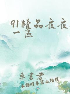 91精品夜夜夜一区
