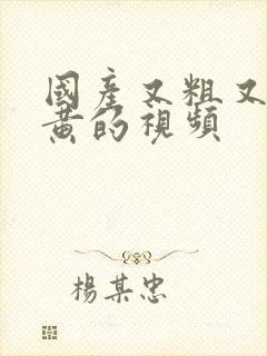 国产又粗又猛又黄的视频