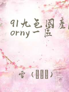 91九色国产porny一区