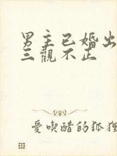 男主已婚出轨受三观不正