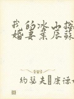 我的冰山总裁未婚妻叶辰苏夕月