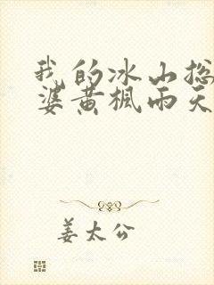 我的冰山总裁老婆黄枫雨天 小说