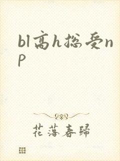 bl高h总受np