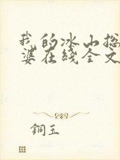 我的冰山总裁老婆在线全文阅读