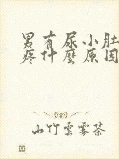 男有尿小肚子就疼什么原因