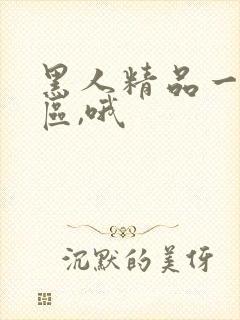 黑人精品一区二区,哦