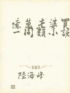 亿万老婆买一送一同类小说