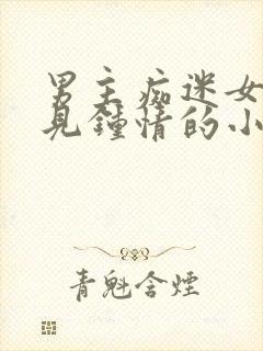 男主痴迷女主一见钟情的小说