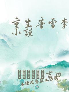 重生唐雪李毅的小说