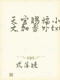 天官赐福小说全文加番外txt